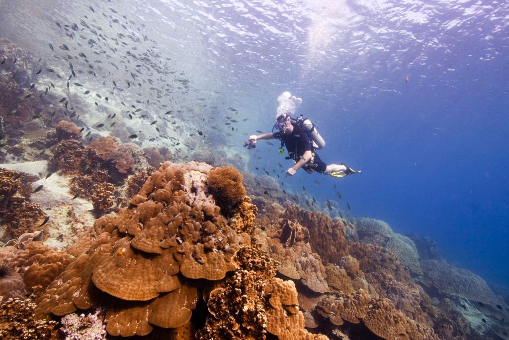 Diving in Koh Chang Archipelago